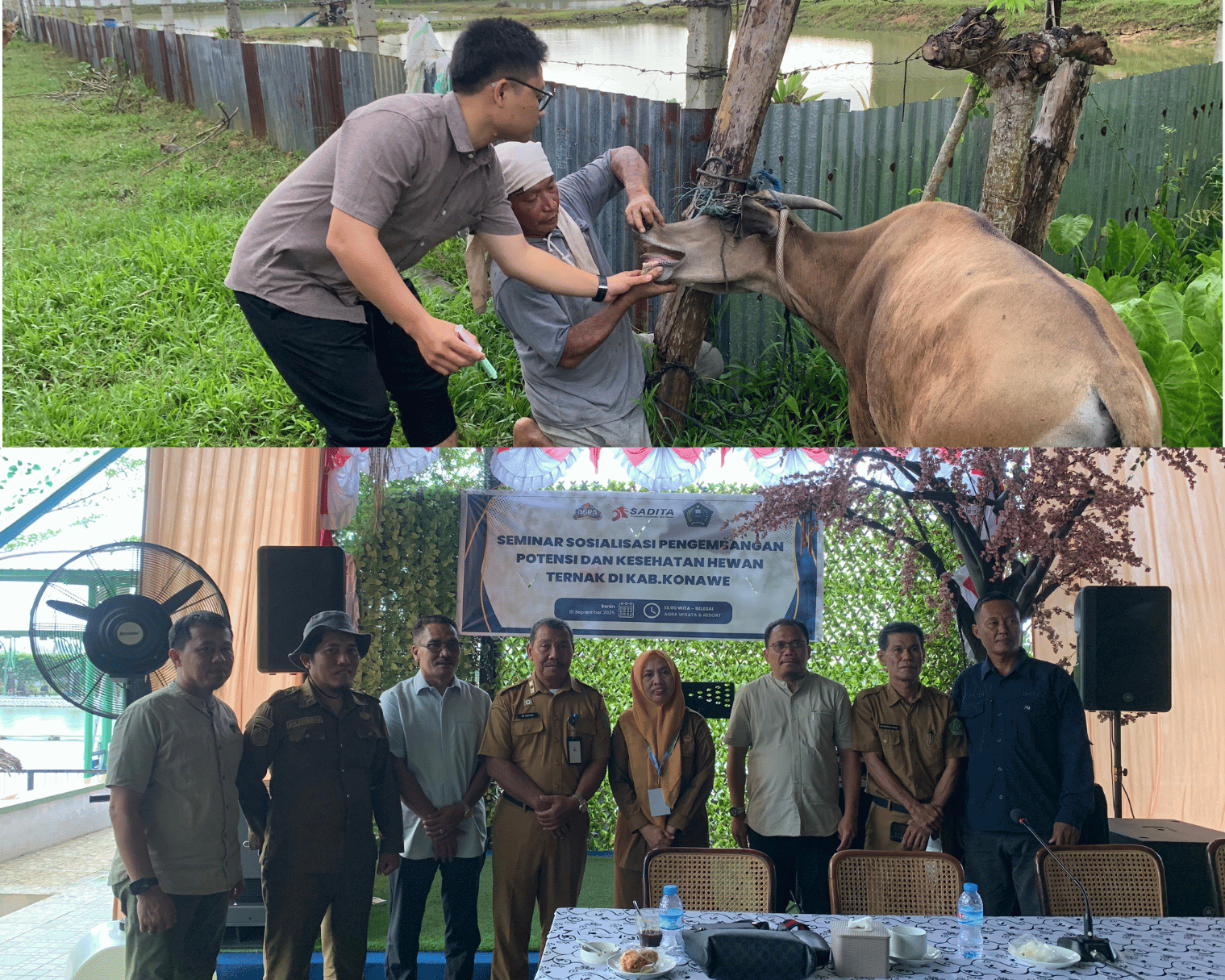 Tim Giat Kesehatan Hewan Sadita di Kabupaten Konawe