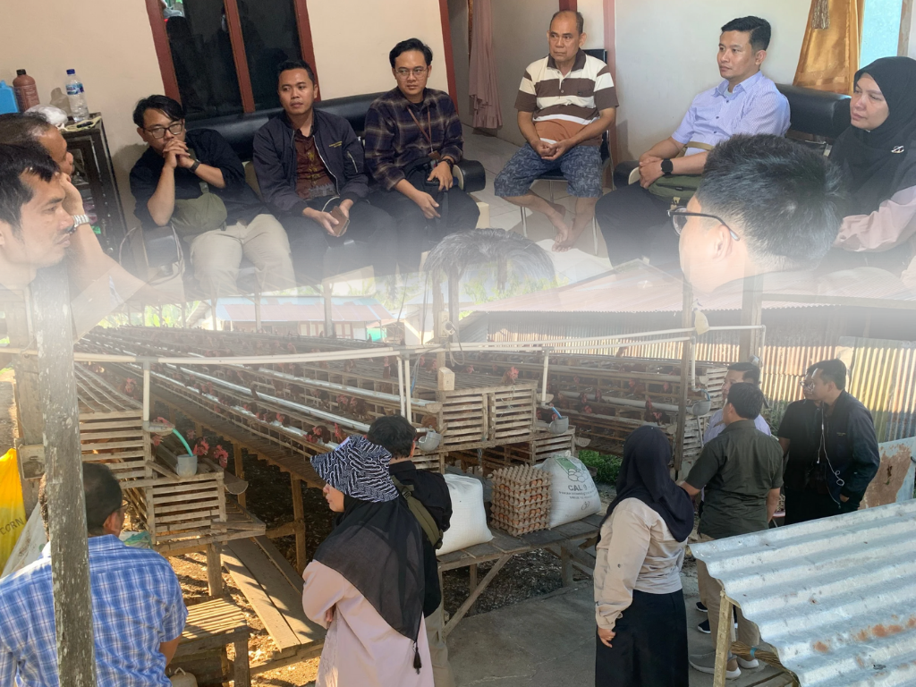 BRMP PKH Kunjungi Peternakan H. Sapile di Sidrap untuk Tinjau Penggunaan Probiotik Lokal “Biomix” dari PT Satwa Medika Utama
