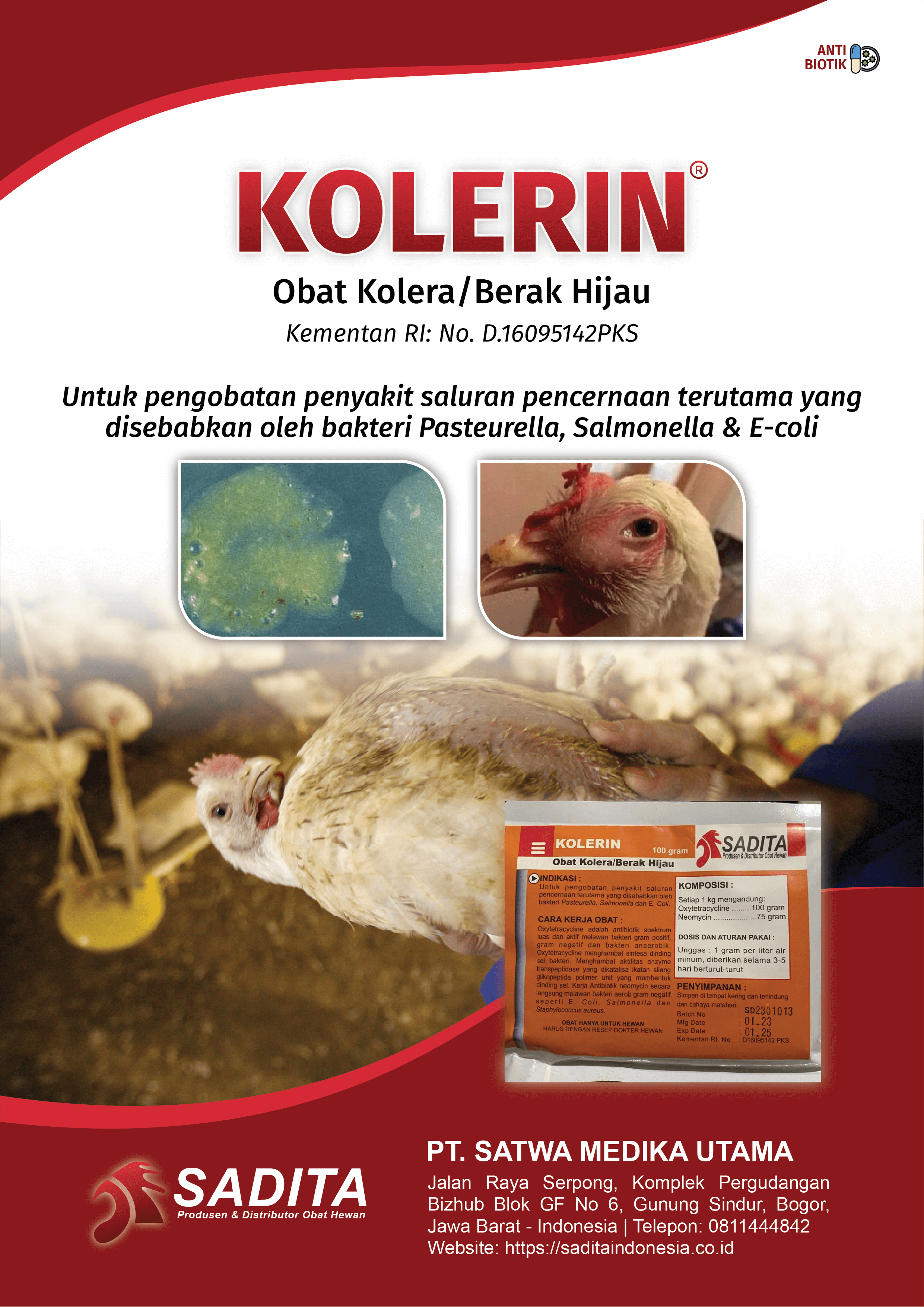 KOLERIN®
Obat Kolera/Berak Hijau
Kementan RI: No. D.16095142PKS

Untuk pengobatan penyakit:
saluran pencernaan terutama yang
disebabkan oleh bakteri Pasteurella

Salmonella & E-coli

PT. SATWA MEDIKA UTAMA 
SADITA
Produsen & Distributor Obat Hewan

Jalan Raya Serpong, Komplek Pergudangan 
Bizhub Blok GF No 6, Gunung Sindur, Bogor, 
Jawa Barat - Indonesia | Telepon: 0811444842
Website: https://saditaindonesia.co.id