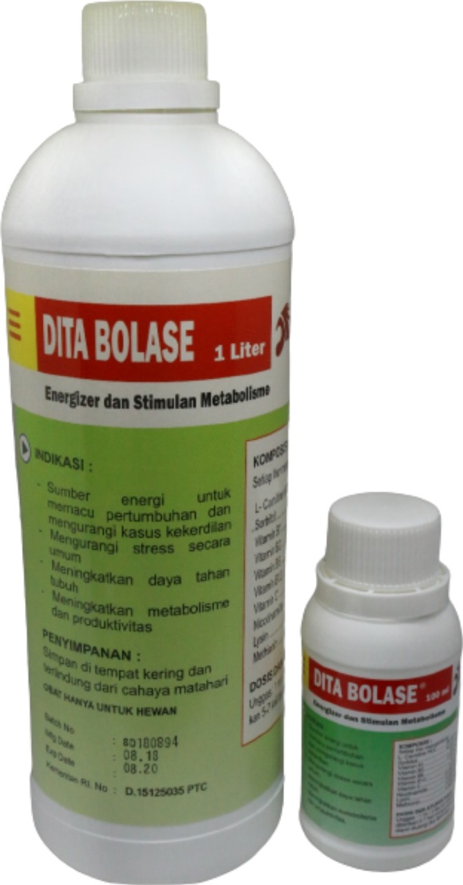 DITA BOLASE