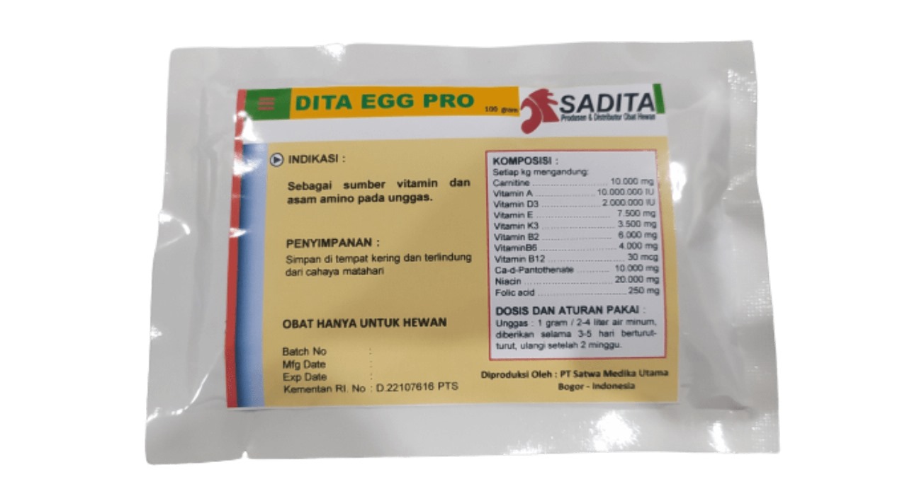 DITA EGG PRO